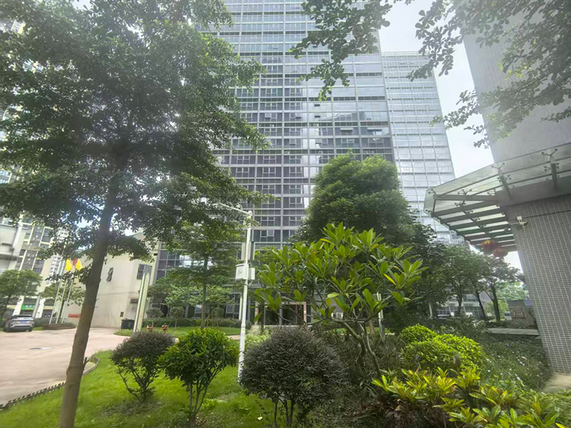 公司环境